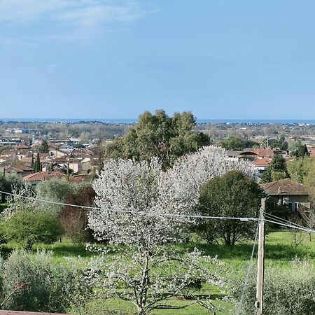 Casa Bianca Villa Pietrasanta Eksteriør bilde