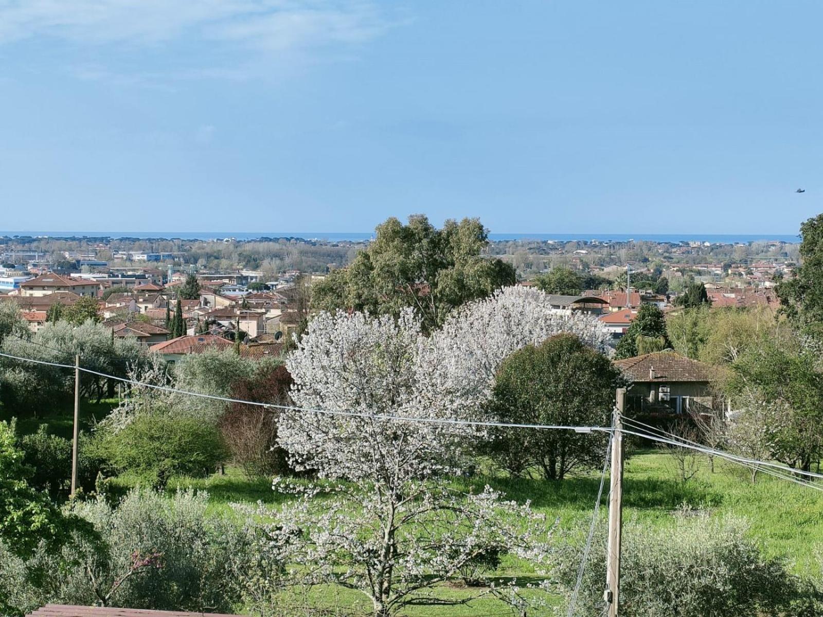 Casa Bianca Villa Pietrasanta Eksteriør bilde